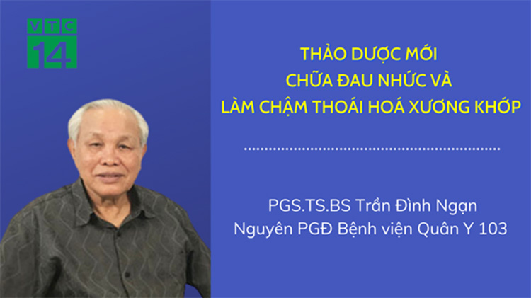 PGS.TS Trần Đình Ngạn 1
