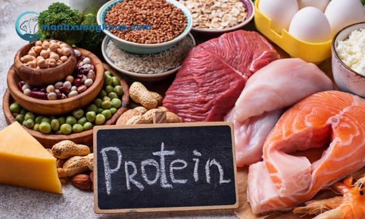 Thực phẩm chứa Protein 1